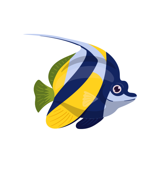 angelfish