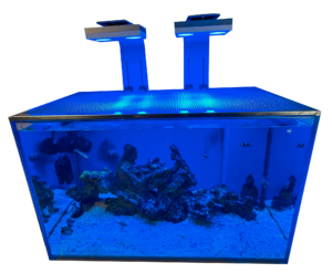 Reef Guard's custom aquarium lids made from marine-grade brushed stainless steel