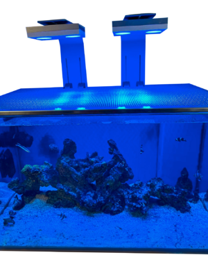 Reef Guard's custom aquarium lids made from marine-grade brushed stainless steel