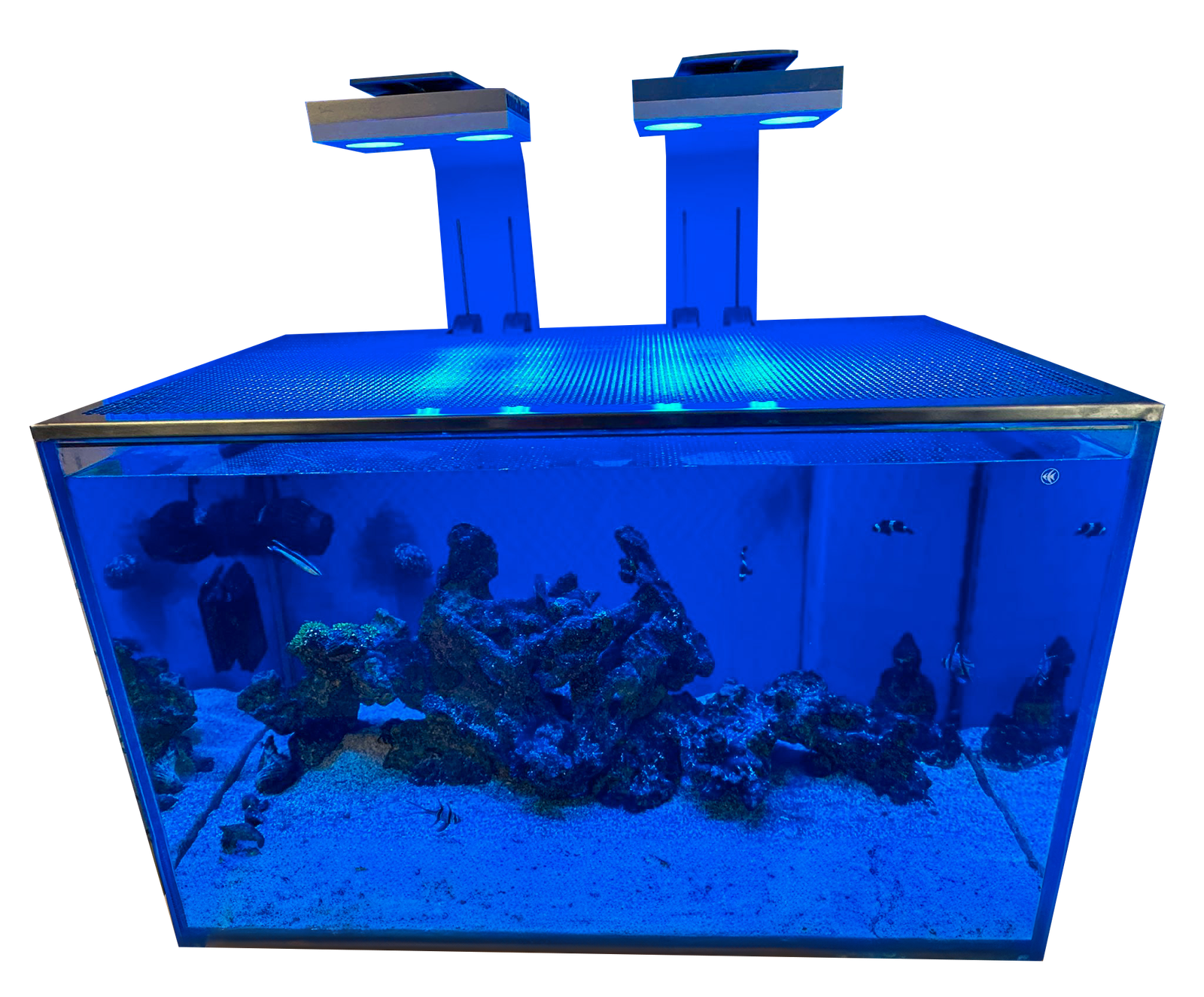 Reef Guard's custom aquarium lids made from marine-grade brushed stainless steel