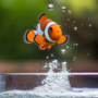 prevent fish from jumping out your tank